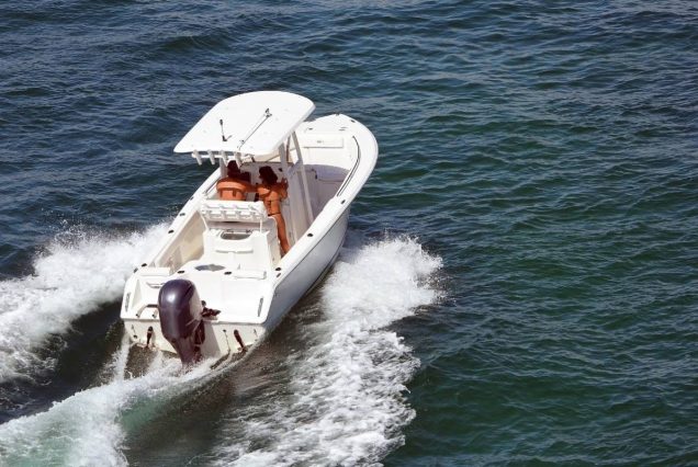 Delfin Tour Hurghada mit Speedboot Privat