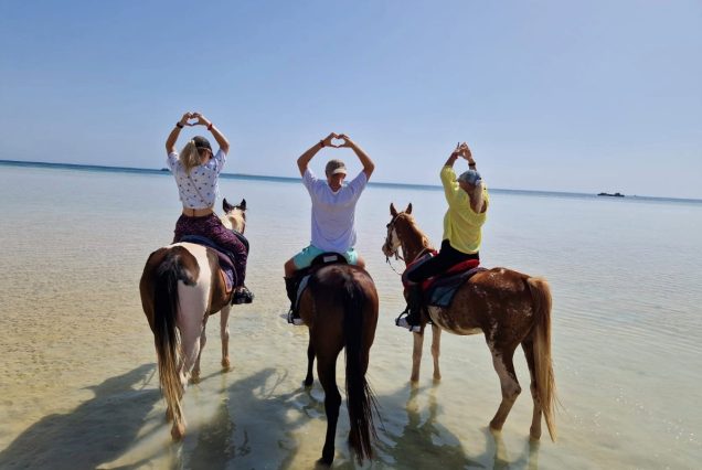 Pferdeausritt Hurghada: Reiten am Strand und in der Wüste