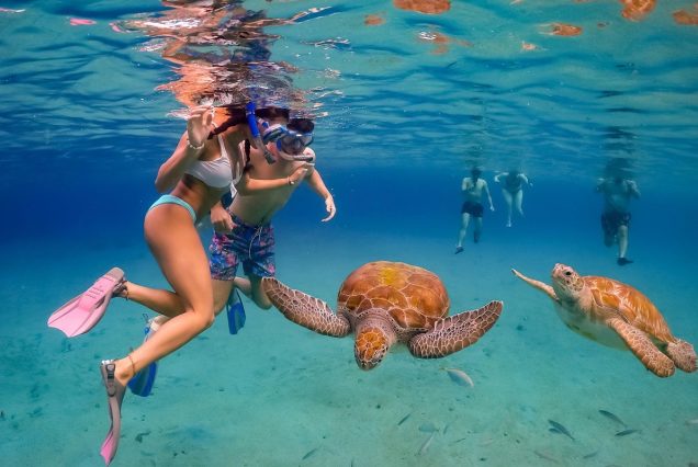 Abu Dabbab Schnorcheln & Schwimmen mit Schildkröten Ausflug ab Hurghada Privat