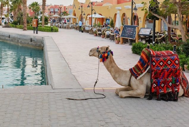 Hurghada Stadtrundfahrt privat: Stadtführung auf Deutsch